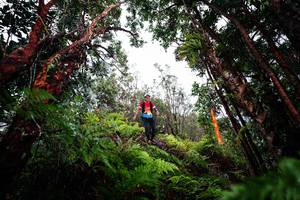 BIB: 
                            <button type="button" onclick="openModal(26202982)" class="btn btn-primary btn-sm float-right btn-popup" data-toggle="modal" data-target=".modal-high-quality">
                        <i class="fas fa-shopping-cart"></i> Add to Cart
                    </button>
                                            <button type="button" onclick="isThisMe(26202982, true)" class="btn btn-success btn-sm float-right btn-popup btn-isme hidden" data-toggle="tooltip" data-placement="bottom" title="นี่คือรูปของคุณใช่ไหม คลิกที่นี่เพื่อเอาเข้าอัลบั้ม">
                        <i class="fas fa-plus"></i> Add to album
                    </button>
                    <button type="button" onclick="isThisMe(26202982, false)" class="btn btn-warning btn-sm float-right btn-popup btn-isnotme hidden">
                        <i class="fas fa-ban"></i> Remove from album
                    </button>